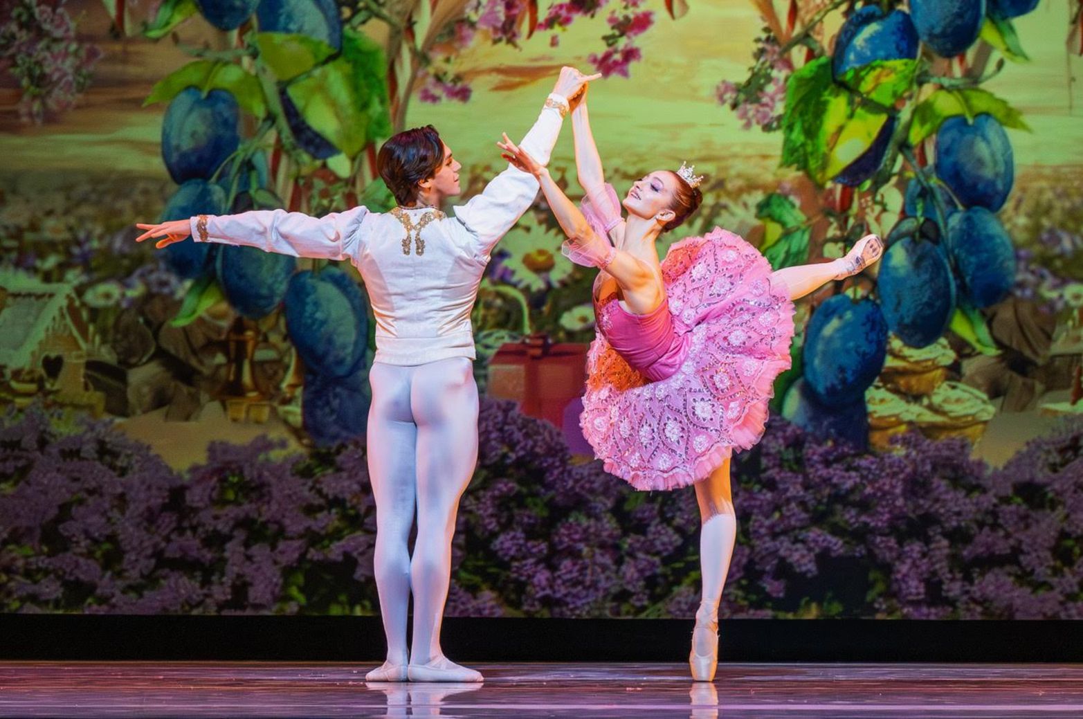 Sugar Plum Fairy pas de deux — pink tutu, plum garden backdrop